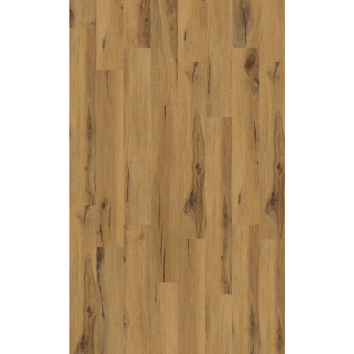 Design 30  Rigid Acoustic 0001