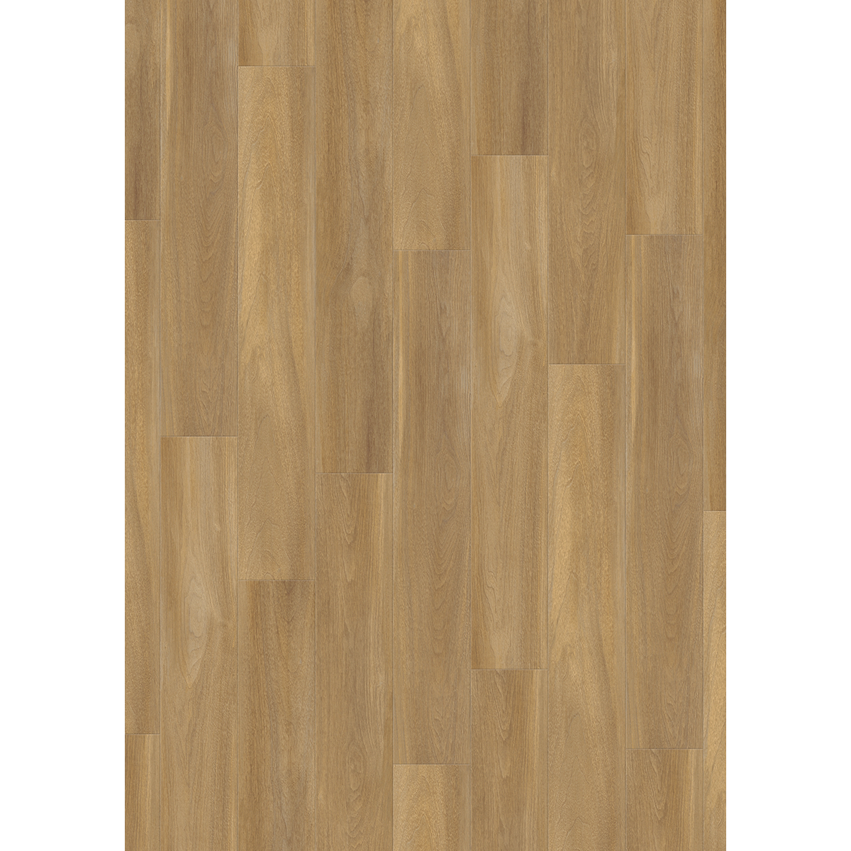 Design 30  Rigid Acoustic 0002