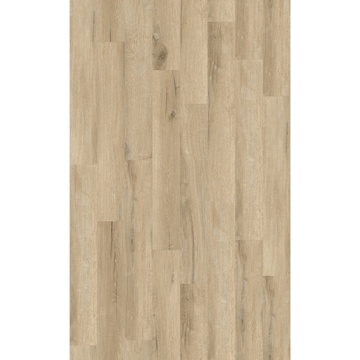Design 30  Rigid Acoustic 0021