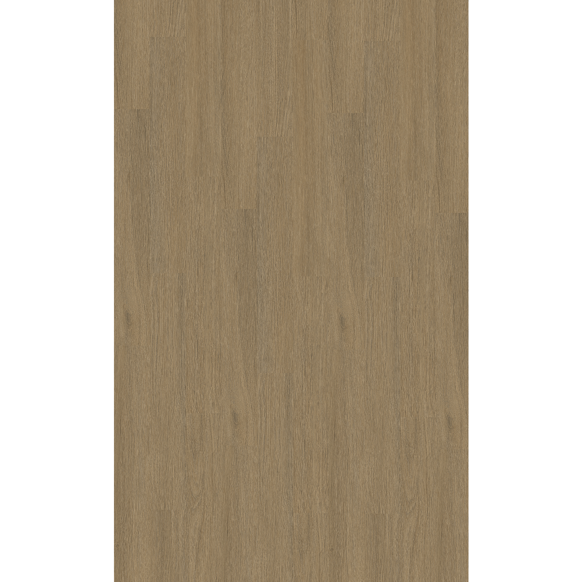 Design 30  Rigid Acoustic 0025