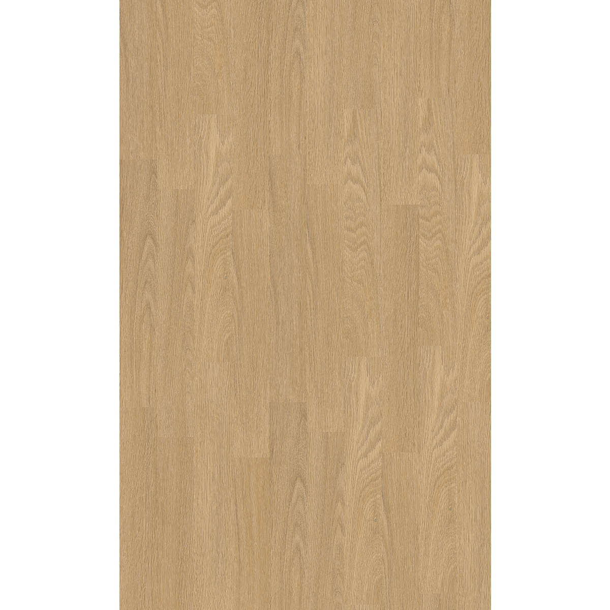 Design 30  Rigid Acoustic 0013