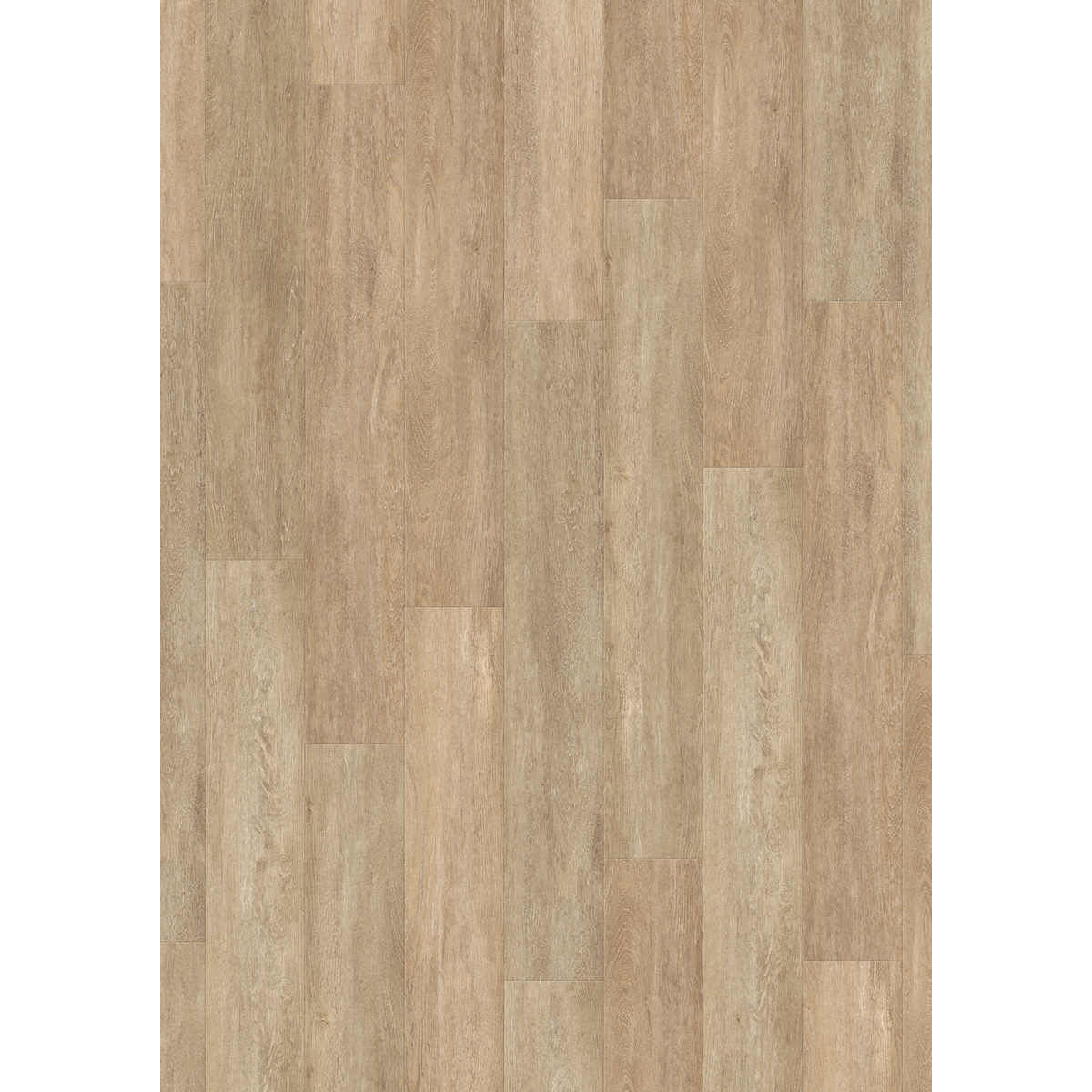 Design 30  Rigid Acoustic 0017