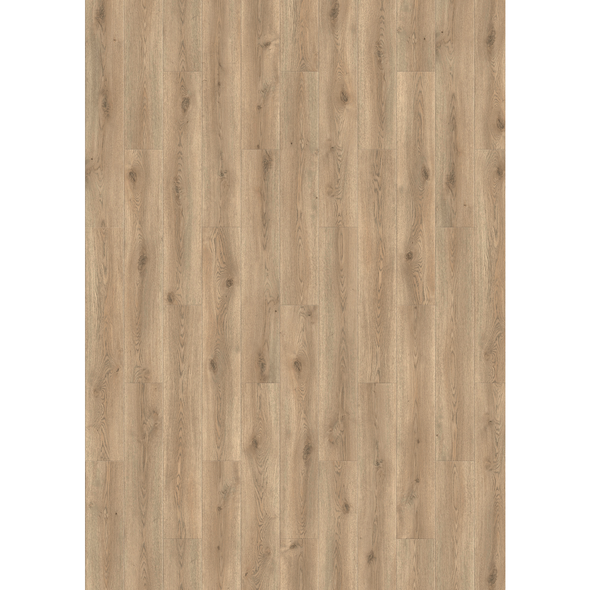 Design 30  Rigid Acoustic 0019