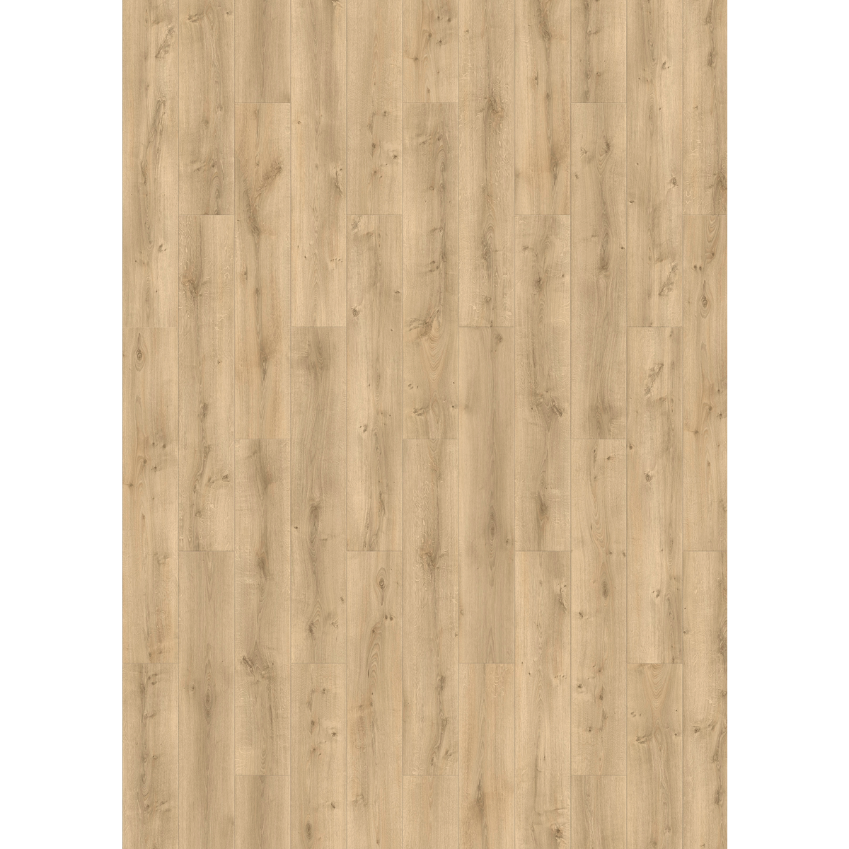 Design 30  Rigid Acoustic 0015