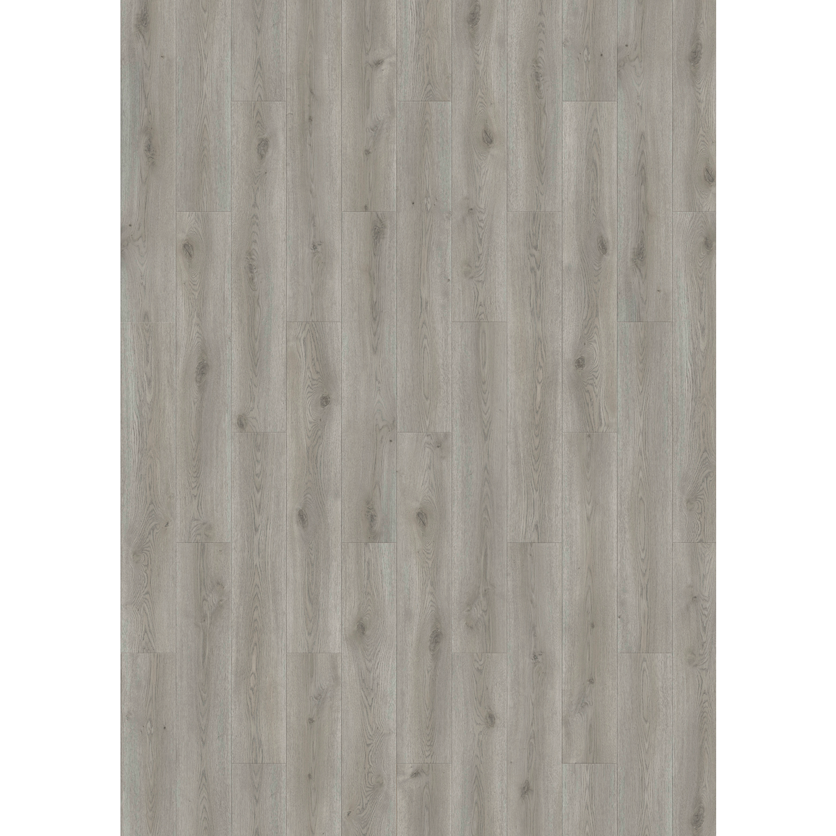Design 30  Rigid Acoustic 0027