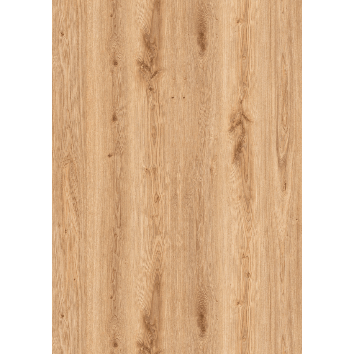 Design 30  Rigid Acoustic 0011