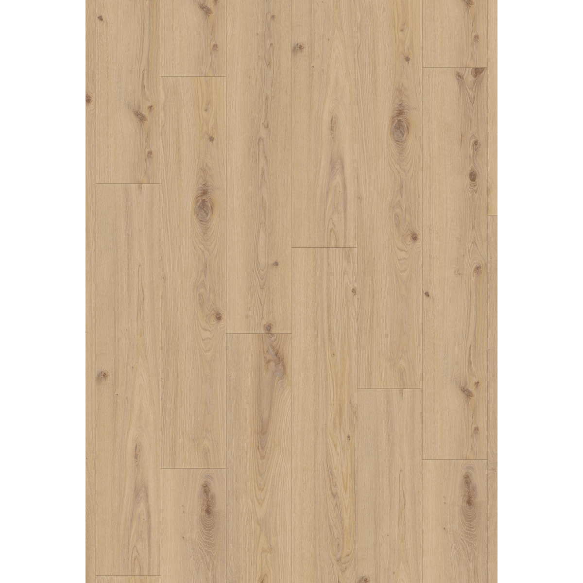 Design 30  Rigid Acoustic 0024