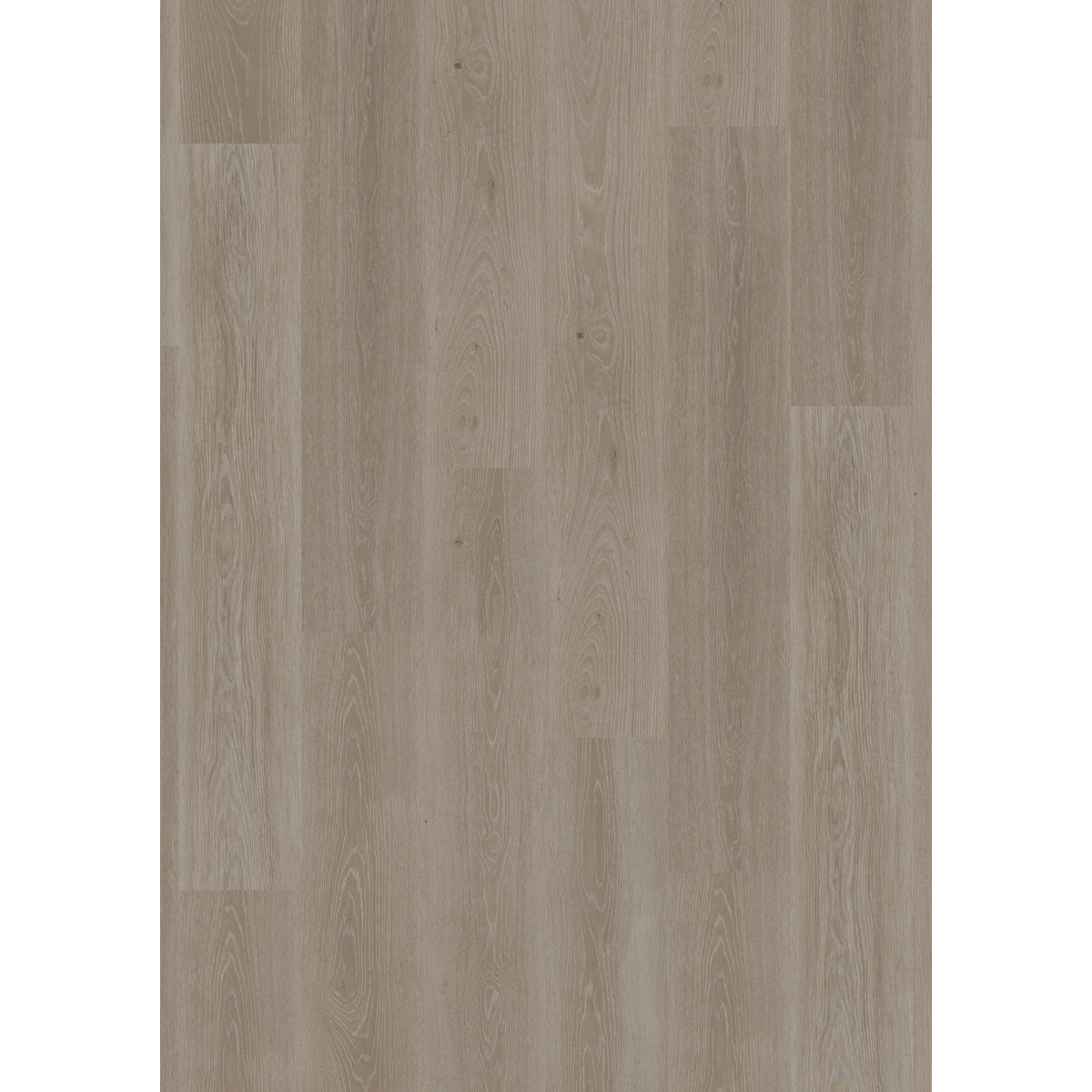 Design 30  Rigid Acoustic 0040