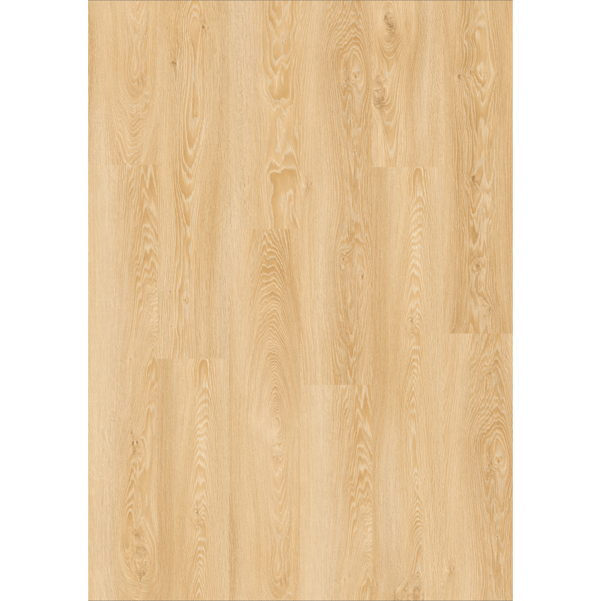 Design 30  Rigid Acoustic 0012