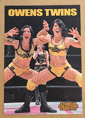 Owens Twins 2017 Stardom Collection Card