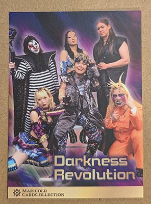 Darkness Revolution 2025 Marigold Card Collection Base Card