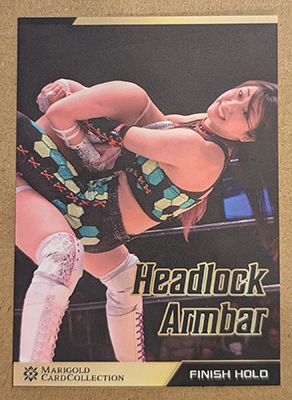 Minami Yuuki Headlock Armbar 2025 Marigold Card Collection Base Card