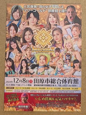 Winter Wonderful Fight 2025 Marigold Card Collection Base Card