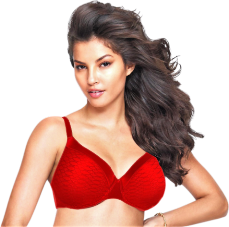 Maidenform Women&#39;s 2-Pack Full Coverage Underwire Bras