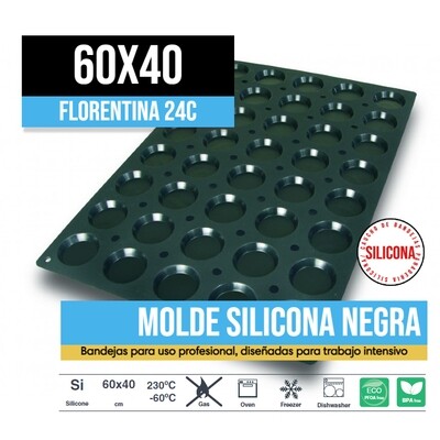 Molde de Silicona 60x40 Florentina 24C