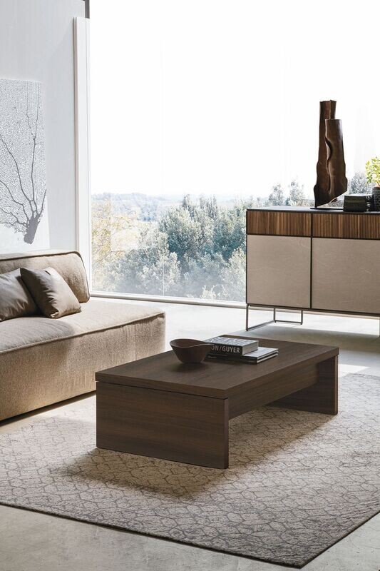 Single Coffee / Multifunctional Table
