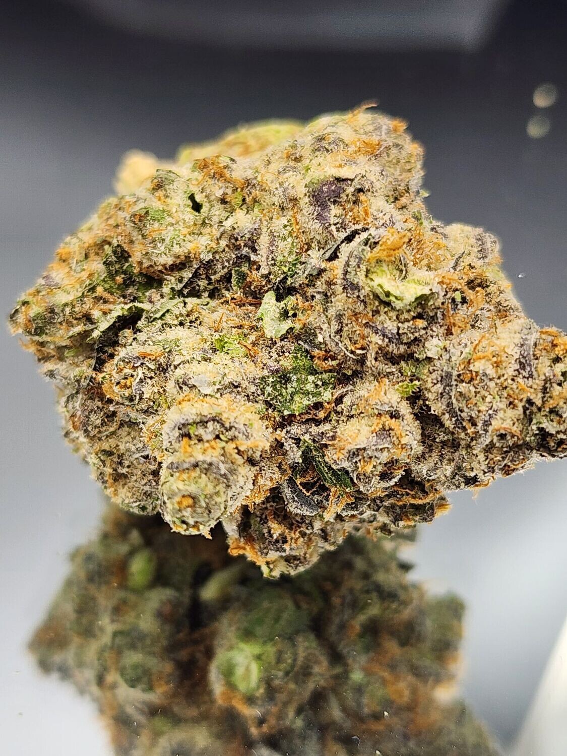 Black Truffle Pie (exclusive strain)