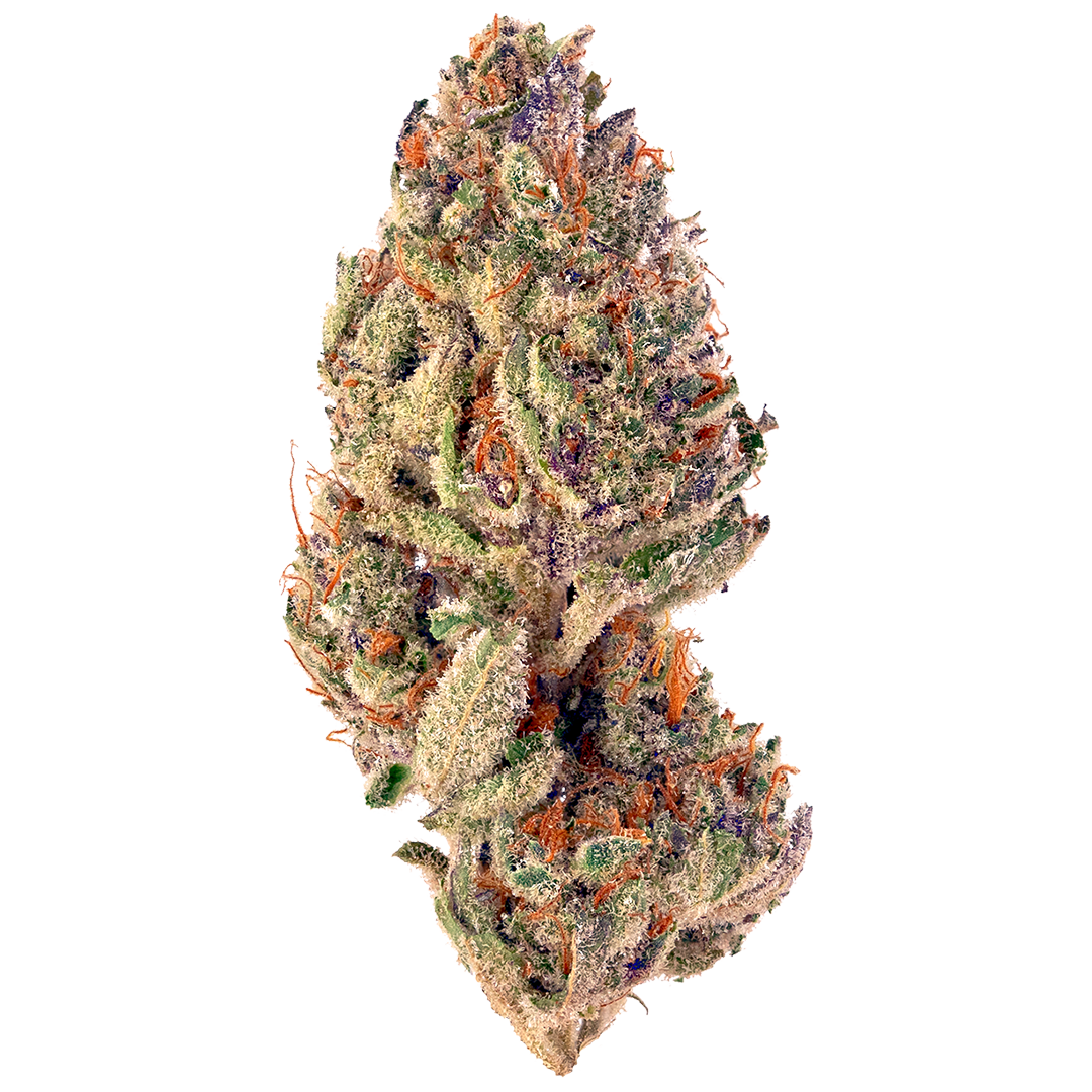 Gorilla Glue #4