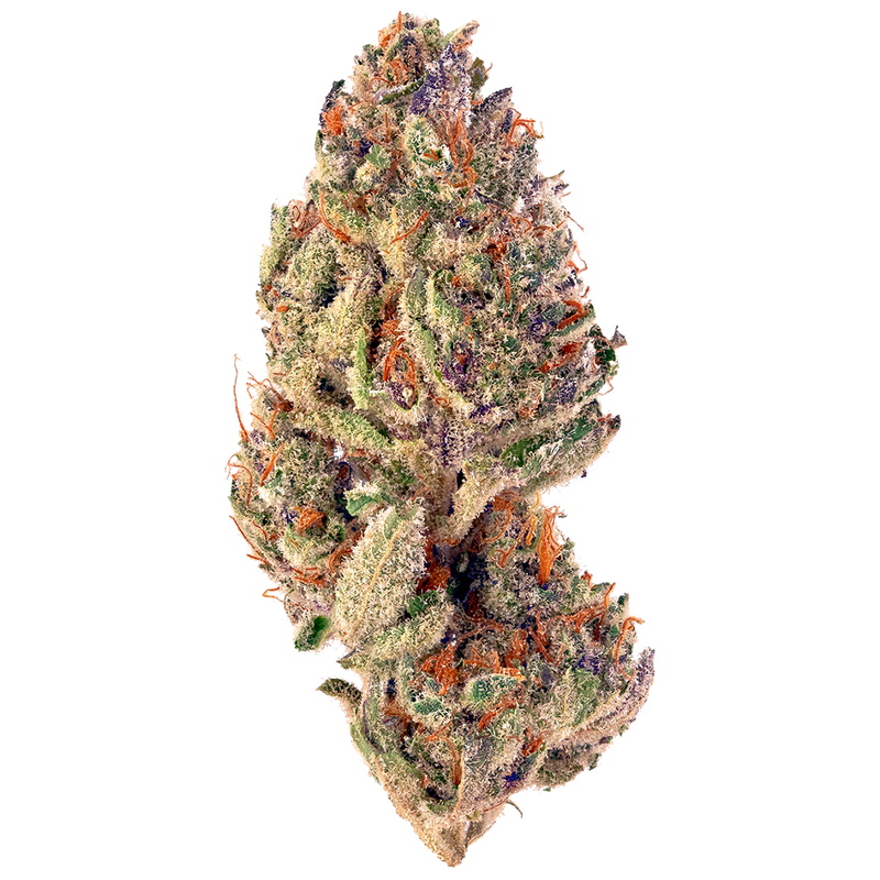 Gorilla Glue #4