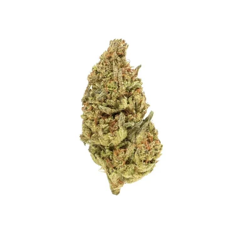 Purple Pomegranate Purple Pomegranate