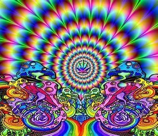 Shroomies