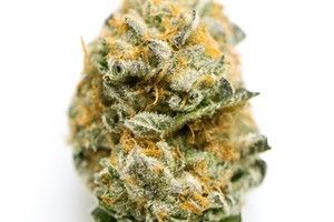 Peach Pie