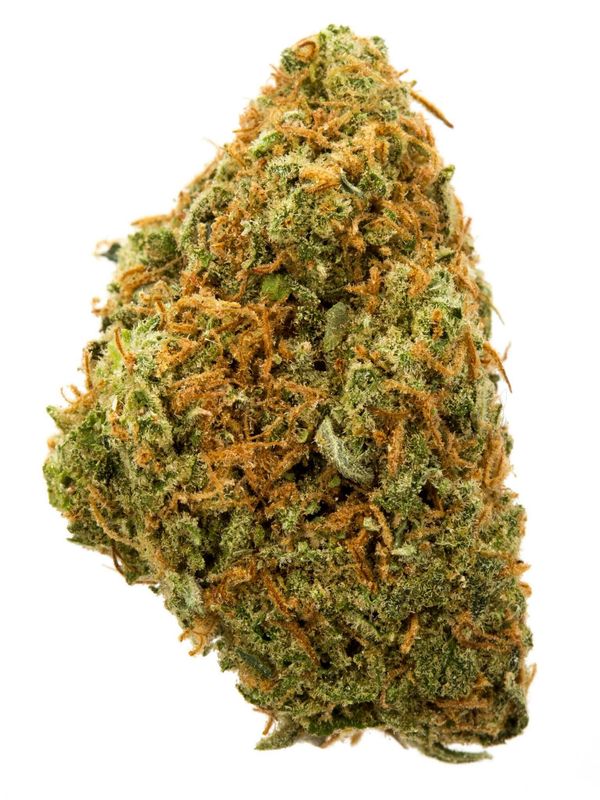 Mule Fuel