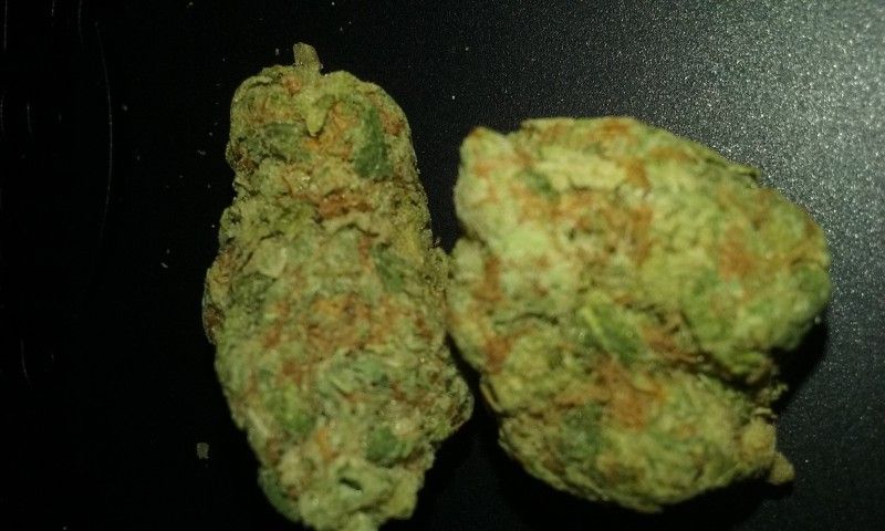 Columbian Gold