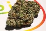 Garlic Cookies