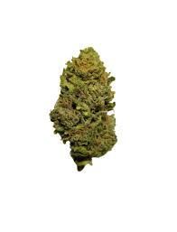 Northern Lights