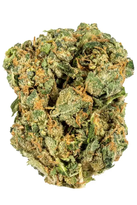 Blanco