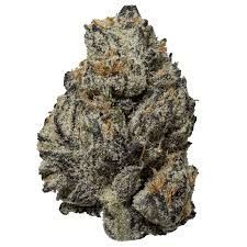 Black Truffle