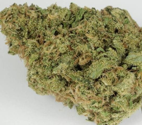 Blue Skunk