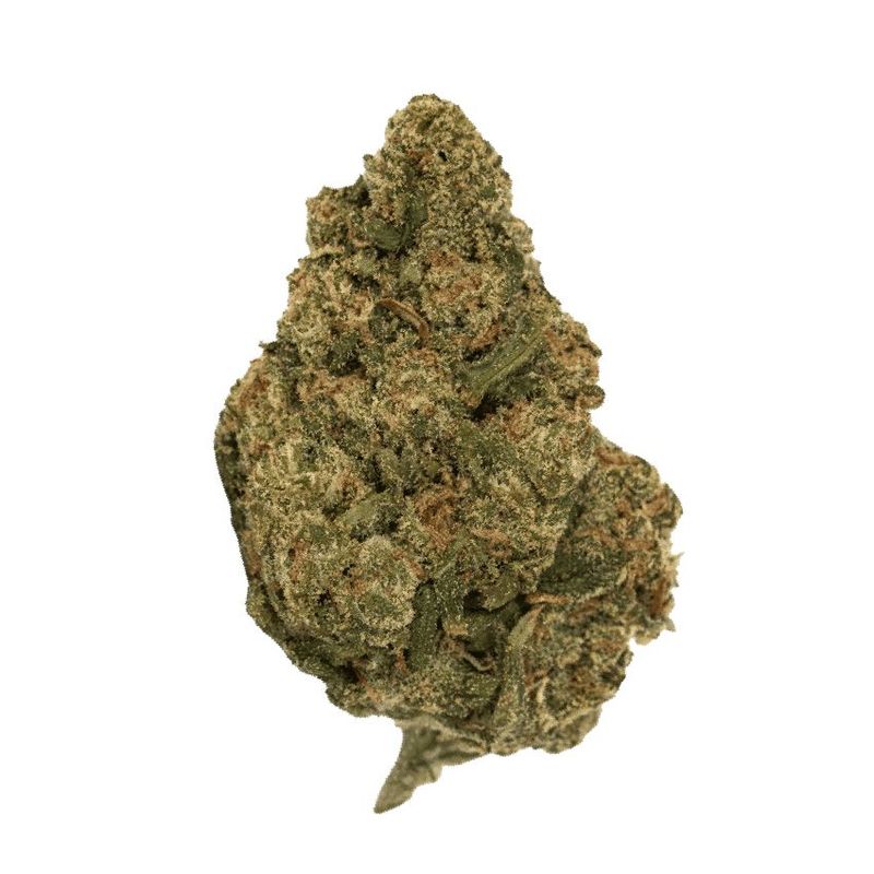 Georgia Pie x Zkittles
