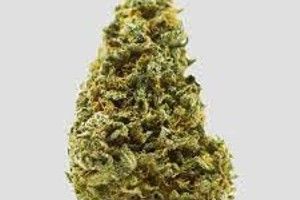 Cherry Haze