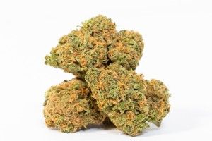 Maui Wowie