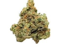Skywalker OG