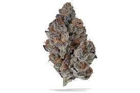 Peanut Butter Breath