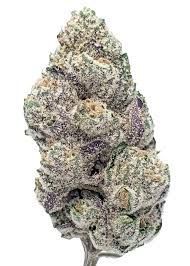 Platinum Granddaddy Purp