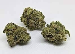 Black Orchard Black Orchard