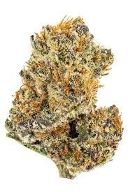 Secret Cookies Secret Cookies