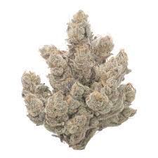 Toaster Strudel Toaster Strudel