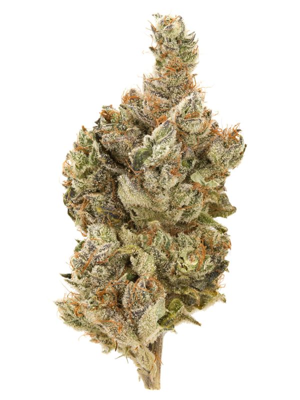 Lemon Head Lemon Head