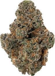 Lemon Punch Lemon Punch