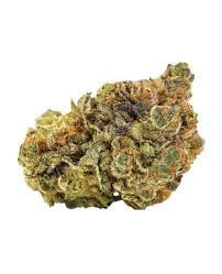 Bubblegum Gelato Bubblegum Gelato