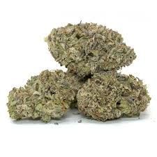 Purple Slime Purple Slime