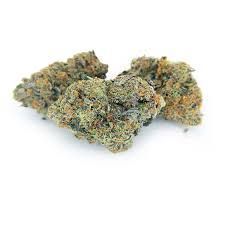 Reeces Pieces Reeces Pieces