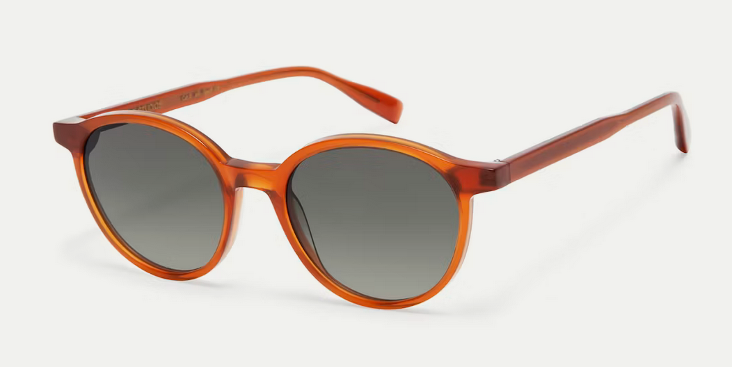 GIGI Studios OHARA 6915/0 brown transparent / green occhiali