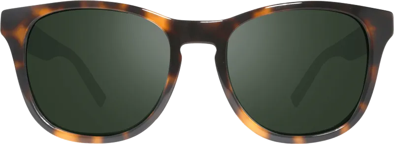 REVO TATUM RE1254 02 SG50 shiny tortoise / grey green polar occhiali