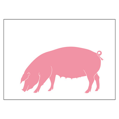 Postkarte Schwein (14,8cm x 10,4cm)